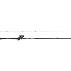 Best Abu Garcia Combo Max X Casting