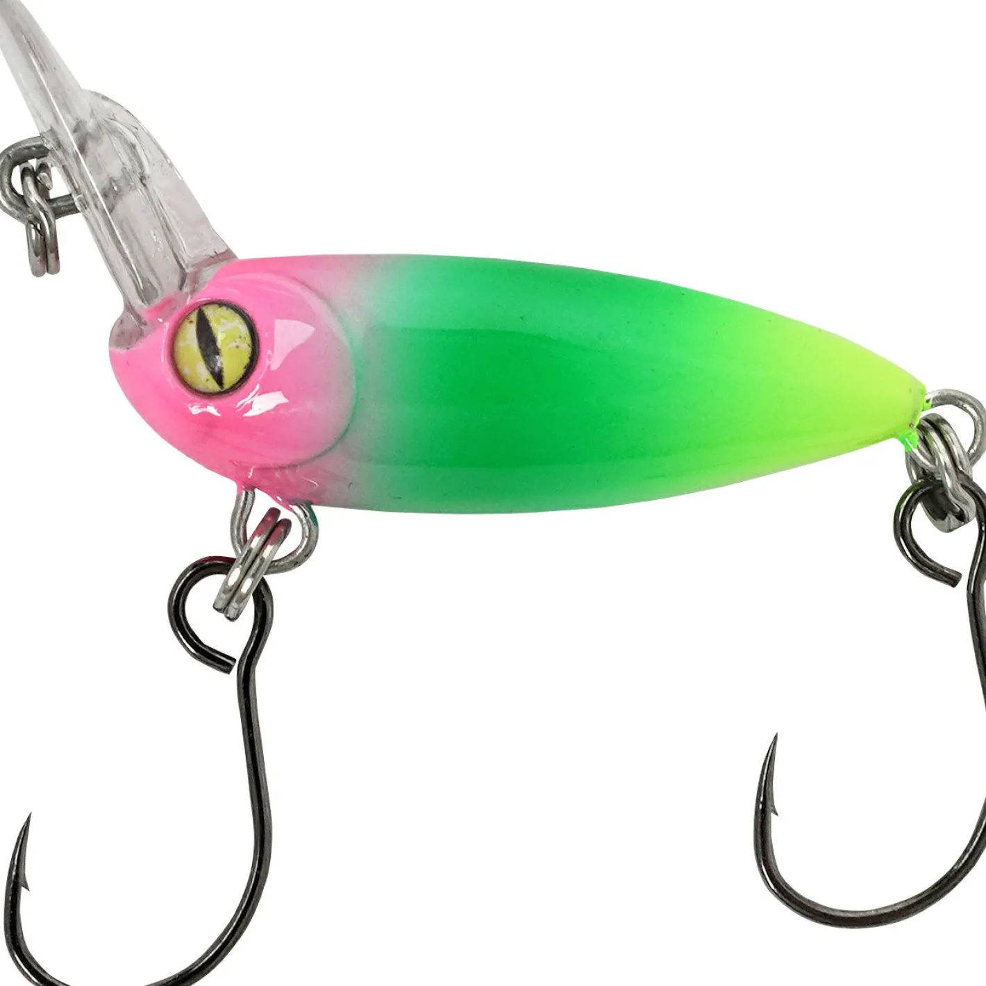 Online Balzer Billy Beetle (Pink/Grün/Gelb)