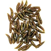 Behr Raubfischfutter Maggots (Shrimp)