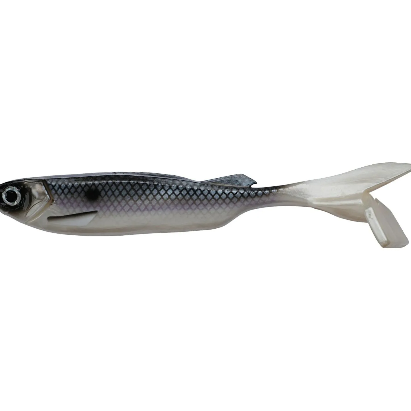 Berkley Powerbait® at Minnow (Roach)