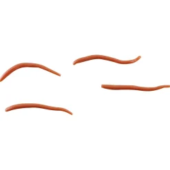 Hot Berkley Soft Baits Gulp Alive Angle Worm (Laubwurm)