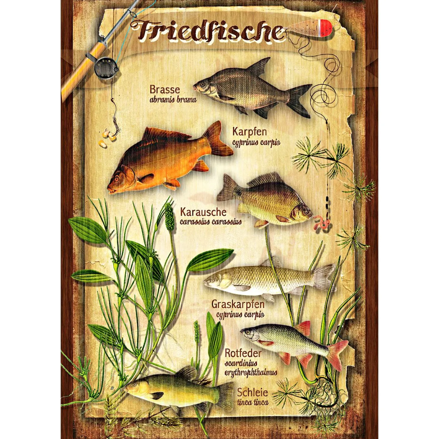 New Blechschild (Friedfische)