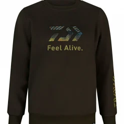 Daiwa Angelpullover & -Strickjacken<D-Vec Crew Neck Zander
