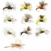 Dragon Fliegen|Fliegen ·Trockenfliegen<Fliegen-Sortiment Klink Hammers
