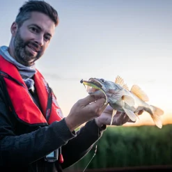 Fox Rage Gummiköder ·Gummifische & Shads<Scent Shad (Green Pumpkin)