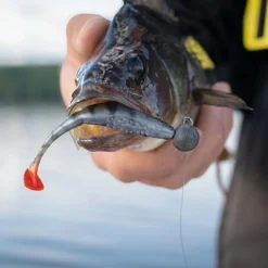 Online Fox Rage Scent Shad (Ultra Natural Perch)