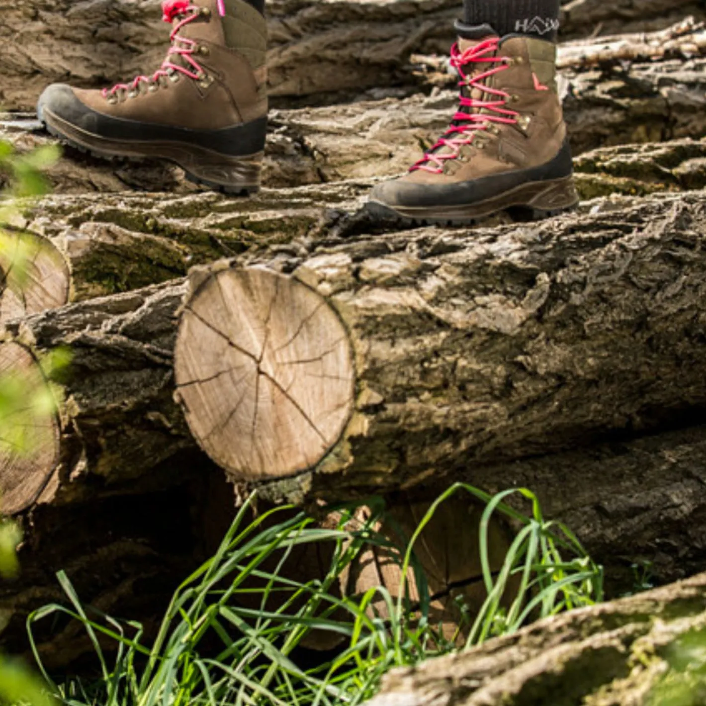 Clearance Haix Nature One GTX WS Damen (Brown)