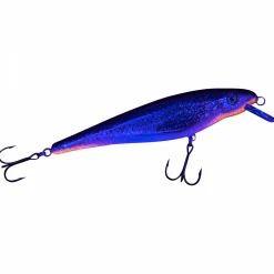 Hot Matze Koch Hechtschrecke (Clear Roach)