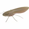 Nays Gummiköder ·Creature Baits<BG (C-30)