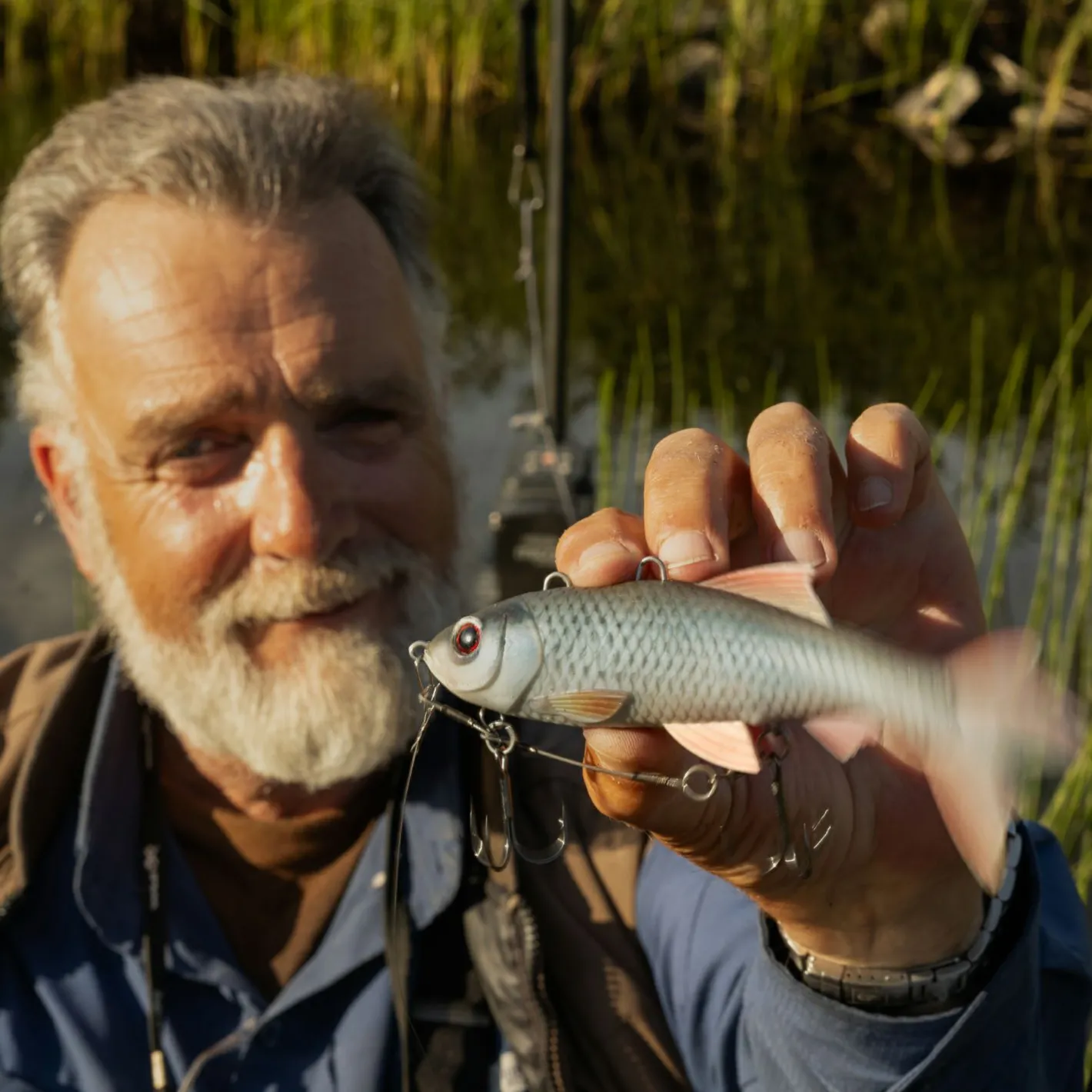 Pulz Bait Gummiköder ·Sonstige Weichplastikköder<Roach Skinz (Natural Roach)