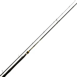 Quantum Spinnruten<Raubfischruten Energy Extreme Jigging Spin Heavy L 245 2,45 m 21-84 g