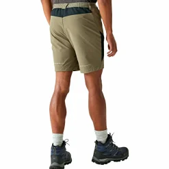 Regatta Outdoor- & Angelshorts & Cargoshorts<Mountain II Wandershorts Herren (Treetop/Black)