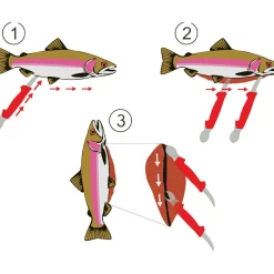 Hot Salmo Saubermacher Messer