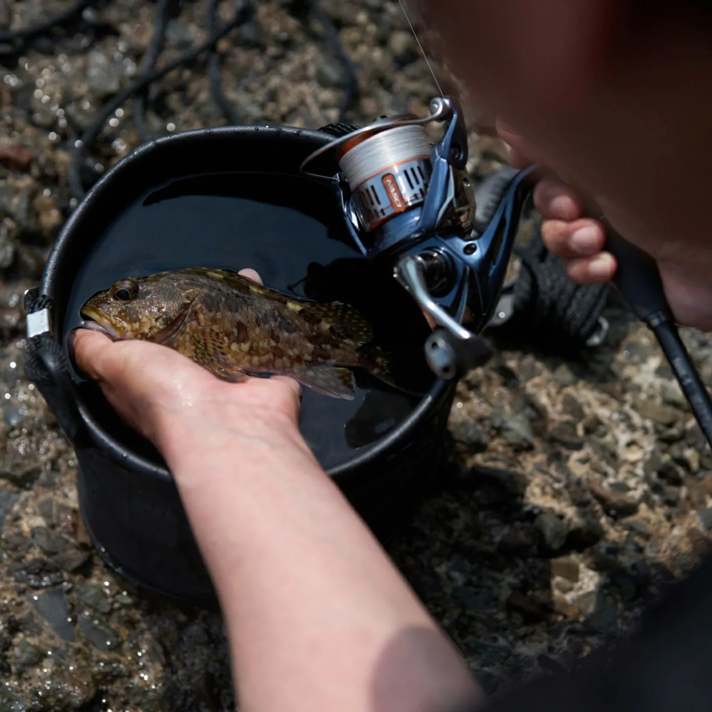 Shimano Raubfischrollen<Spinnrolle Nasci FD C5000 XG