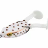 Shirasu Paddle Frog (Albino)
