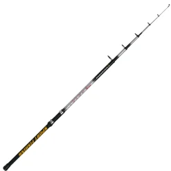 Silverman Posenruten|Zielfischruten<Angelrute Master 6,00 m 10-30 g