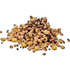 Outlet Starbaits Ready Seeds Spod Mix