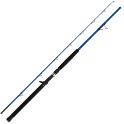 Clearance WFT Meeresrute Seadart 12 lbs 210 cm 30-160 g