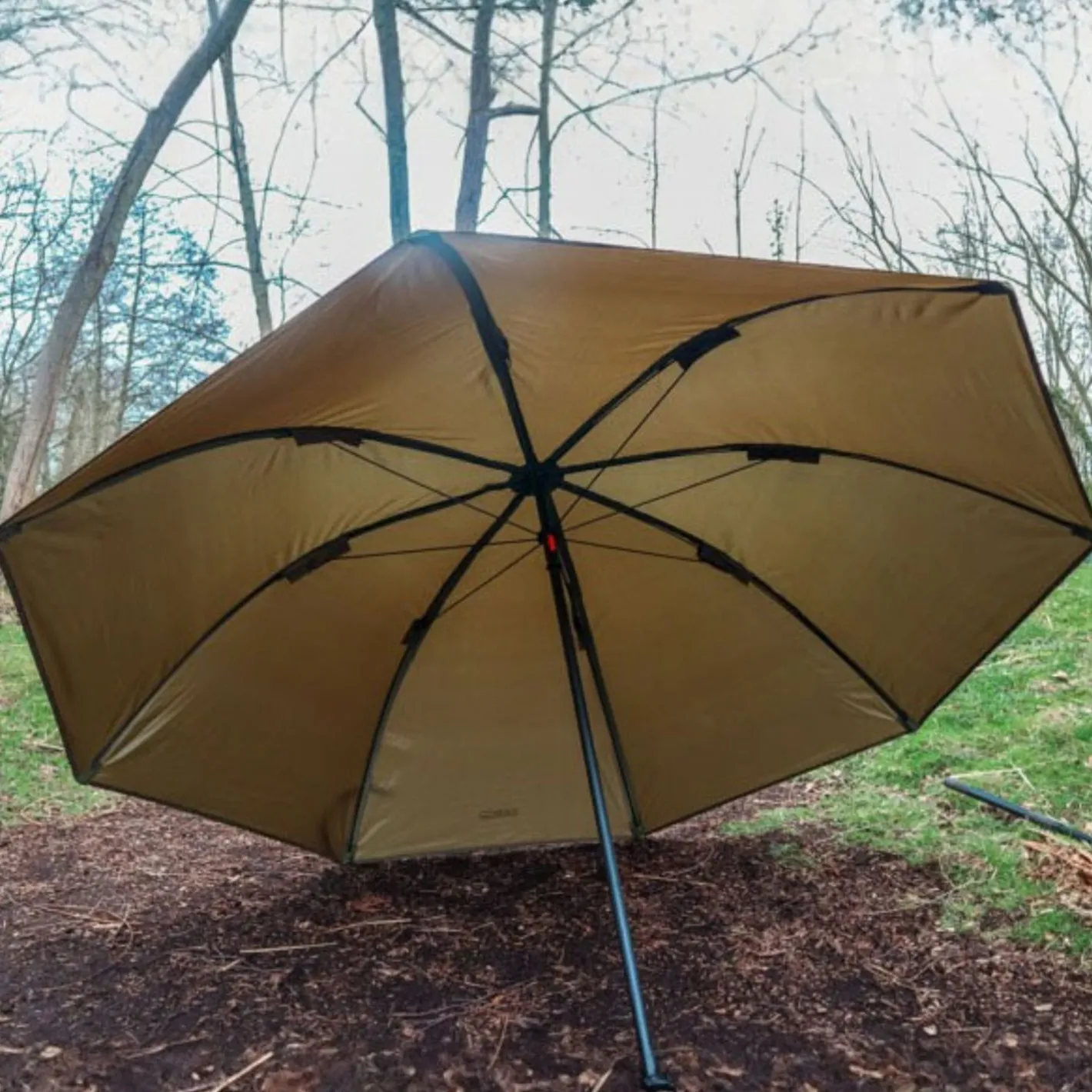 Sale Zebco Brolly (olivgrün)