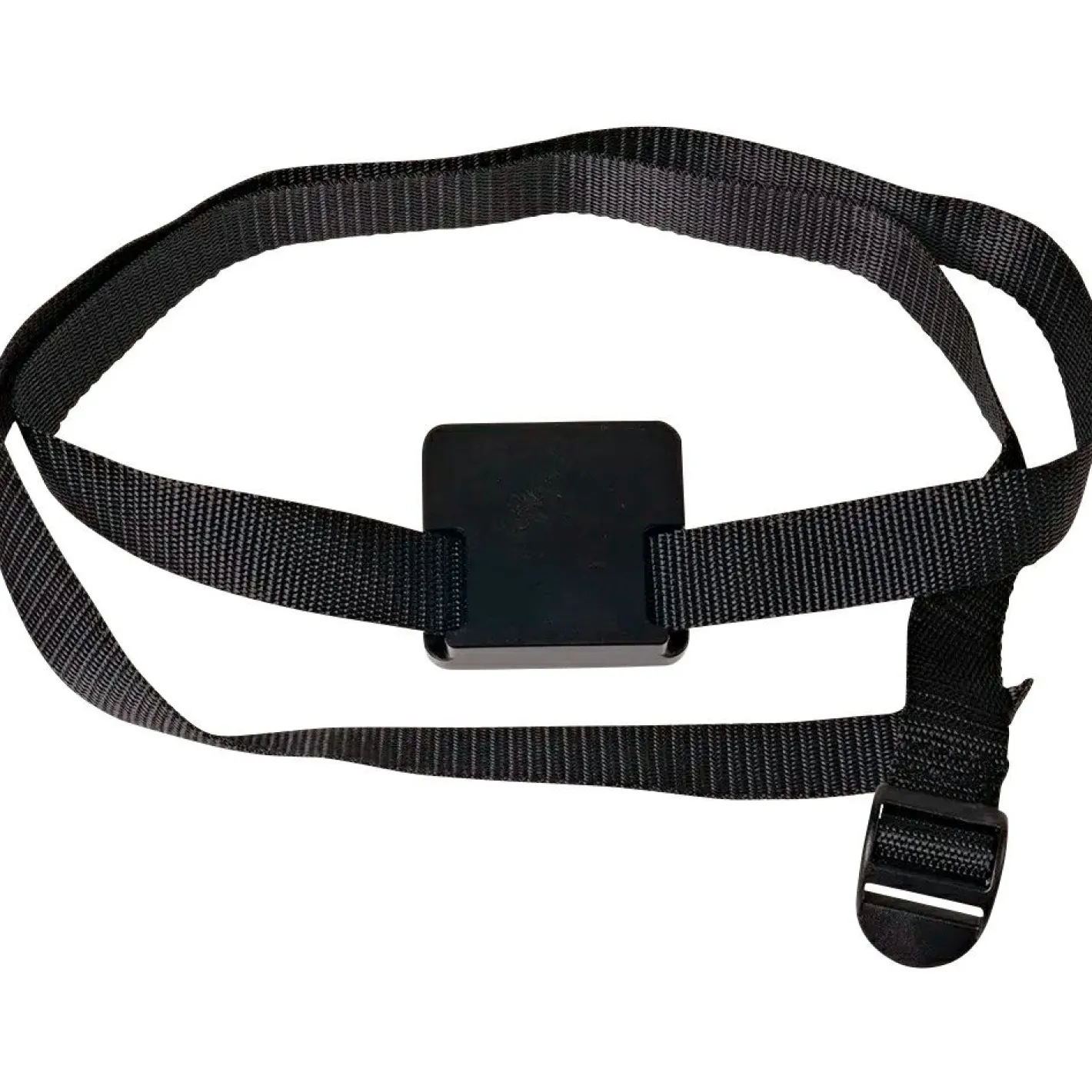 Sale Zeck Boot Belly Cat