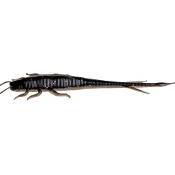 Hot Zeck Shaky Sneaker (Dark Goby)